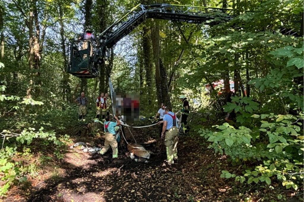Feuerwehrleute stehen neben dem Pferd, Über ihnen die Drehleiter. Feuerwehrleute stehen neben dem Pferd, Über ihnen die Drehleiter.