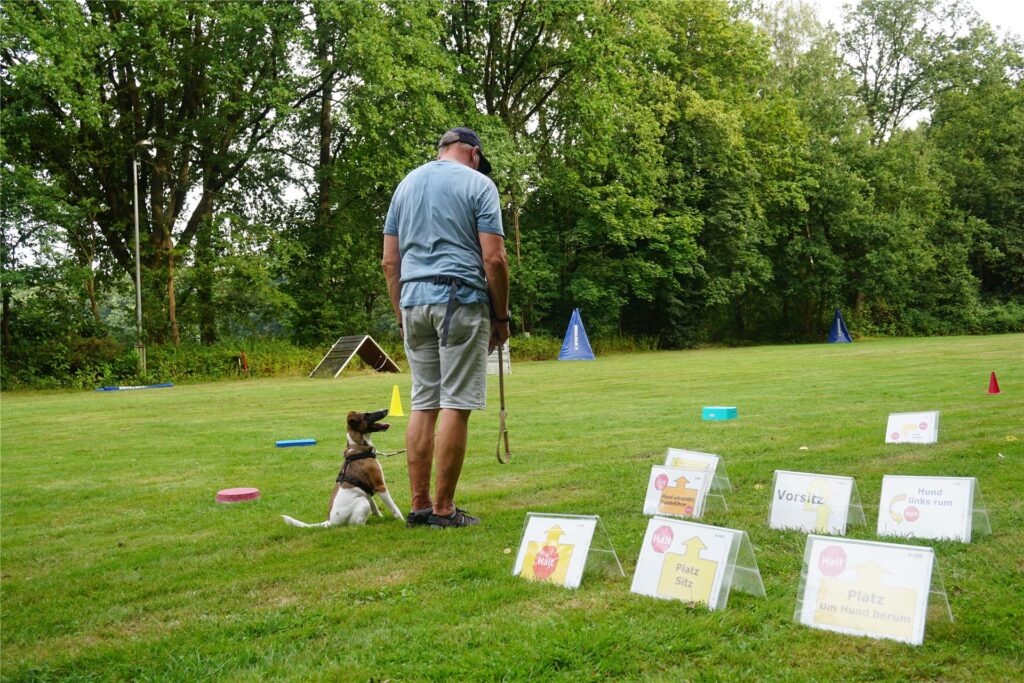 HUnd und Mensch machen Parkour auf einer Wiese.