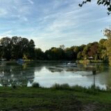 Am großen Teich im Fredenbaumpark sollen mehrere tote Fische gesichtet worden sein.