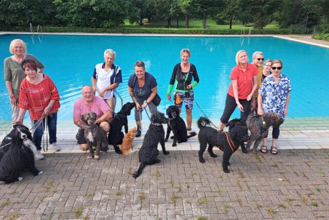 Im Bürgerbad an der Loemühle wird die Saison wieder mit dem Hundeschwimmen beendet.