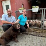 Daniel Kappel und Uta Dingebauer vor einem Gatter mit Ferkeln.