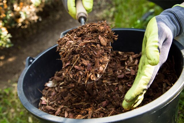 Mit Handschuhen bekleidete Hände nehmen mit einer Schaufel Rindenmulch aus einem Eimer.