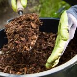 Mit Handschuhen bekleidete Hände nehmen mit einer Schaufel Rindenmulch aus einem Eimer.