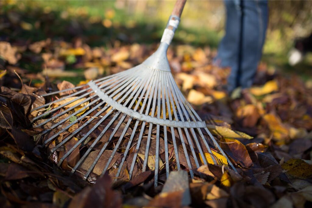 Eine Person schiebt in einem Garten Laub mit einem Laubbesen zusammen. Eine Person schiebt in einem Garten Laub mit einem Laubbesen zusammen.