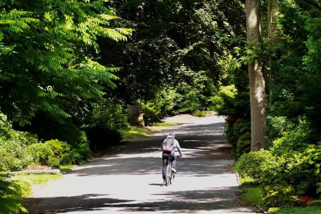 Ein Radfahrer fährt auf einem Weg. Ein Radfahrer fährt auf einem Weg.