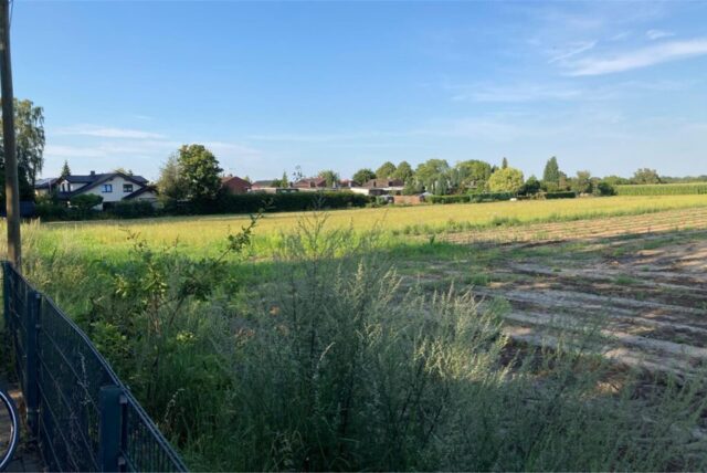 Ein Feld.