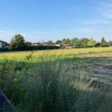 Ein Feld.