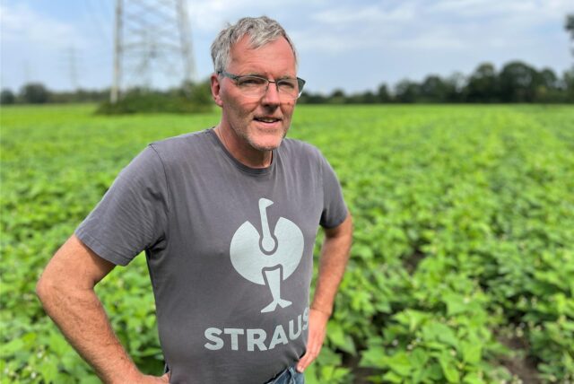 Landwirt Dirk Feldhaus steht in einem Feld.