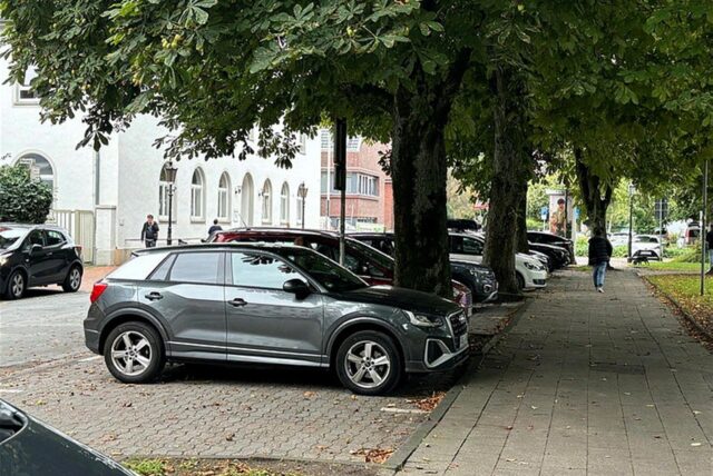 Straße mit Bäumen und Autos