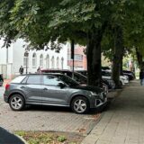 Straße mit Bäumen und Autos