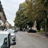 Parkende Autos an der Koeppstraße