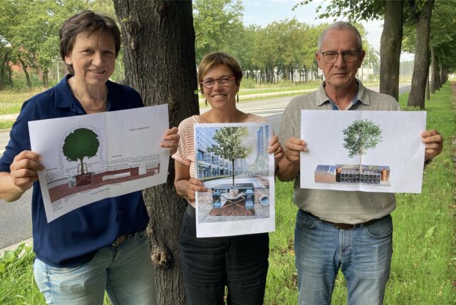 Schwammstadt Marl: Amtsleiterin Vivien Wiers (von links), Baudezernentin Andrea Baudek und Verkehrsplaner Ingo Nölker (hier vor dem Stadthaus 1 an der Carl-Duisberg-Straße) zeigen auf Schaubildern die Rigolensysteme, die künftig die neu gepflanzten Bäume an der Victoriastraße mit Regenwasser versorgen sollen.
