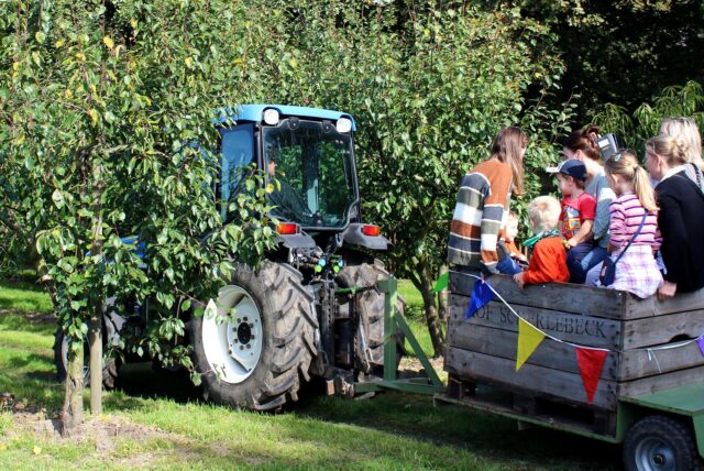 Ein kleiner Traktor fährt beim Erntedankfest in der Ried samt Anhänger durch eine Apfelplantage. Auf dem Anhänger ist eine große Kiste, in der Frauen und Kinder sitzen sowie stehen.