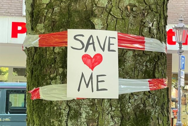 „Save Me“ steht auf einem Plakat an einer alten Kastanie in Haltern, die gefällt werden soll.