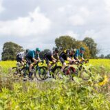 Radfahrer zwischen Feldern