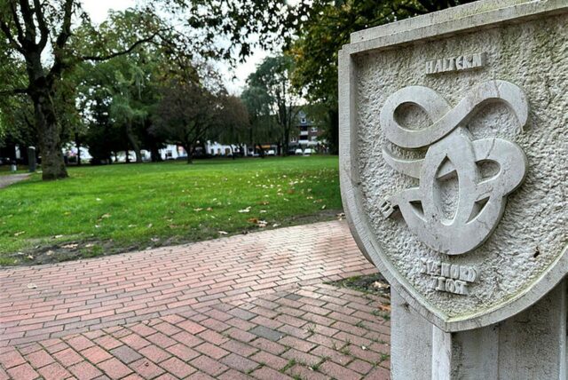 Park mit Bäumen