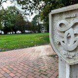 Park mit Bäumen