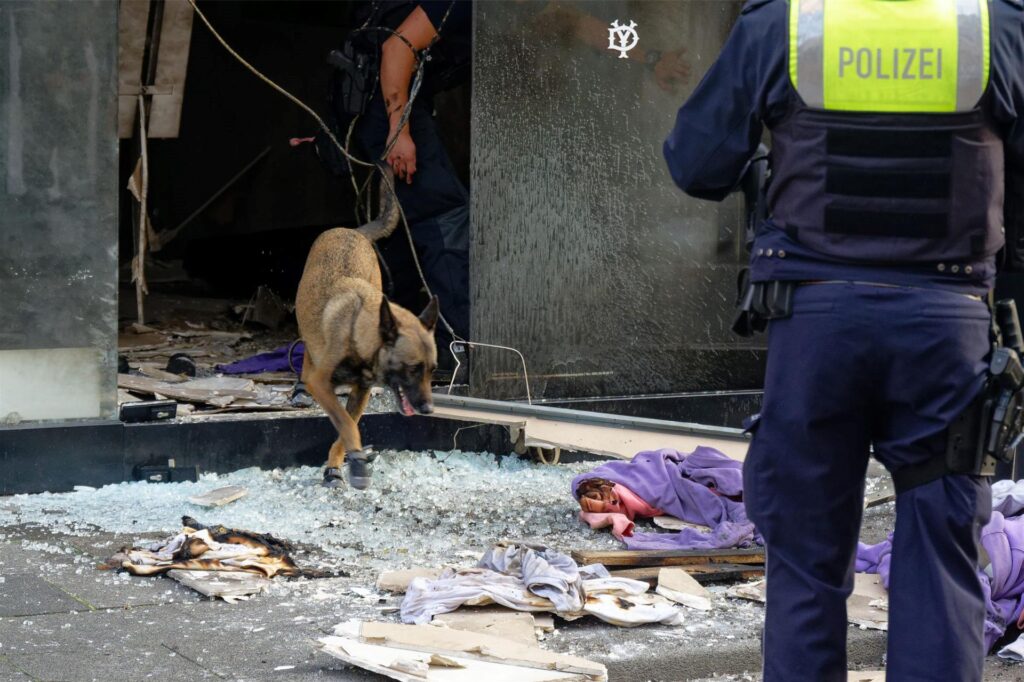 Ein Polizeihund sucht in den Trümmern eines Geschäftes in der Ehrenstraße in Köln. Ein Polizeihund sucht in den Trümmern eines Geschäftes in der Ehrenstraße in Köln.
