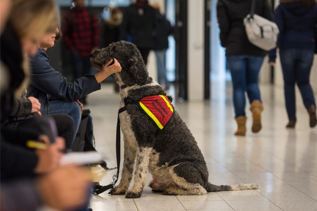 Assistenzhund in einem Hörsaalgebäude