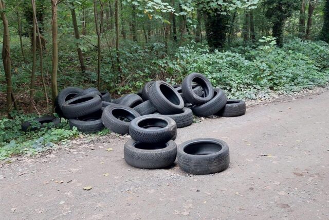 40 Autoreifen liegen auf einem Weg und im Wald daneben.