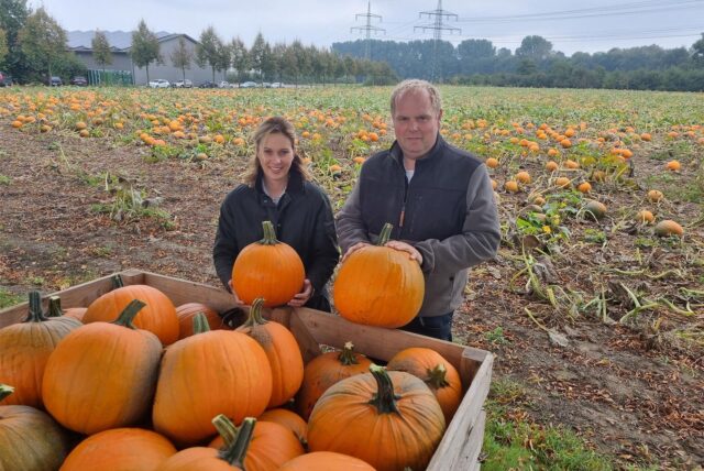 Ein Mann und eine Frau stehen vor einer Holzkiste mit Kürbissen.