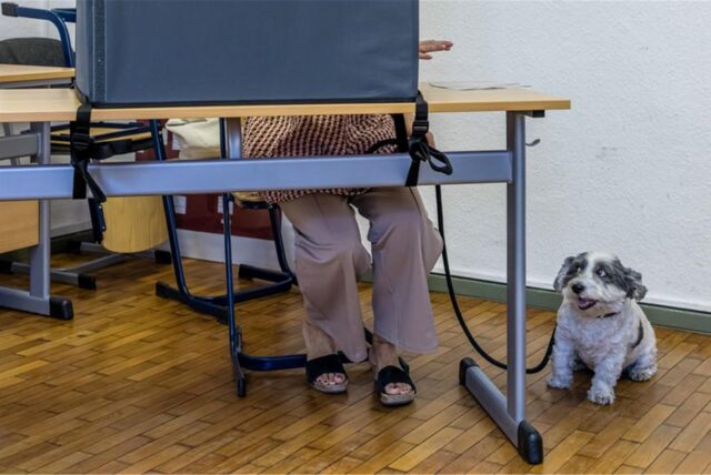 Eine Person gibt ihre Stimme bei der Landtagswahl in Brandenburg ab.