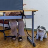 Eine Person gibt ihre Stimme bei der Landtagswahl in Brandenburg ab.
