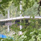 Die Natur erobert immer größere Bereiche des Jahnstadions zurück. Mindestens das Tribünendach dürfte bald unter Denkmalschutz stehen.