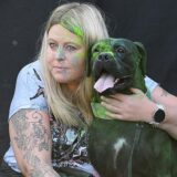 Jahr für Jahr ist die Hundemesse Bello in der Castrop-Rauxeler Europahalle und auf dem Forumsplatz zu Gast. Auch im September 2024 kamen Hunderte Hundefreunde an den zwei Messetagen, um sich über Trends und Neuigkeiten zu informieren und an den Ständen zu stöbern.
