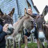 Die Lehmkühlers mit ihren drei Eseln Lemmi, Luke und Leeloo (v.l.) bei sich zu Hause in Herdecke
