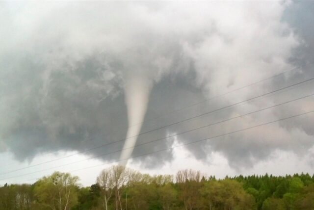 Ein Tornado ist über einem Waldstück zu sehen.