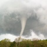 Ein Tornado ist über einem Waldstück zu sehen.