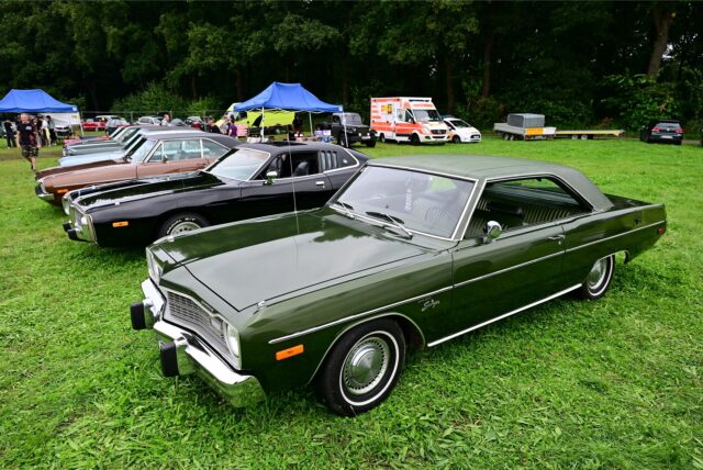 Oldtimer, die auf einer Wiese stehen.