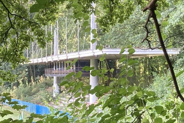 Blick durch Äste auf die bewachsene Tribüne des Jahnstadions in Marl.