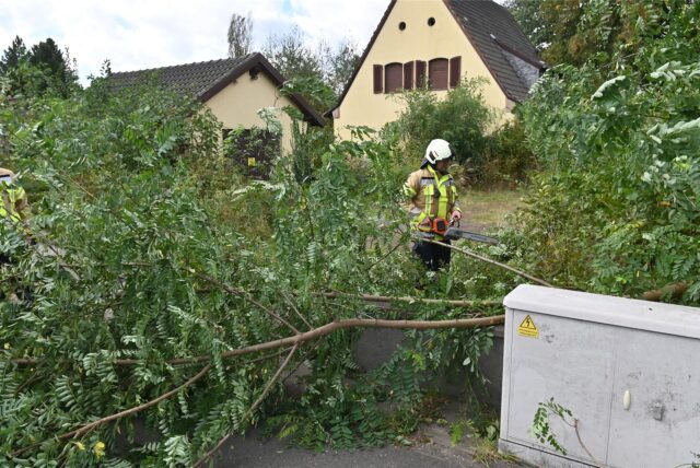 Feuerwehrmann zersägt einen umgefallenen Baum.