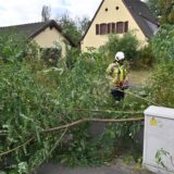 Feuerwehrmann zersägt einen umgefallenen Baum.