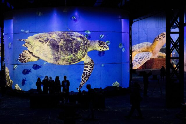 Blick in die neue Ausstellung „Wunderwelt Ozean“ bei Phoenix des Lumieres in Dortmund.