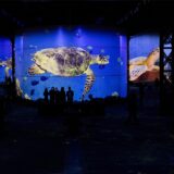 Blick in die neue Ausstellung „Wunderwelt Ozean“ bei Phoenix des Lumieres in Dortmund.