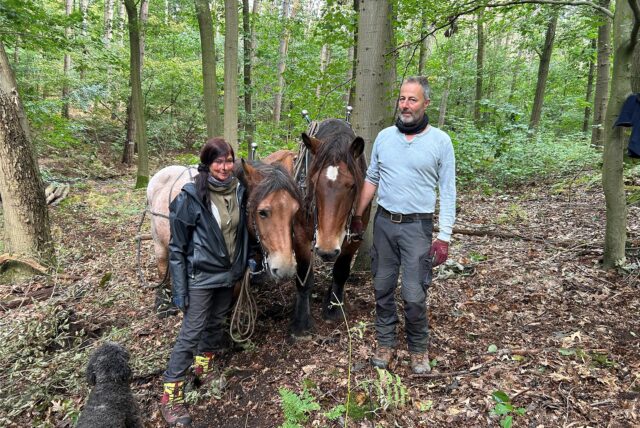 Ein Mann und eine Frau stehen an einem Hang im Wald. Zwischen ihnen stehen zwei Pferde. Vor ihnen hockt ein Pudel.