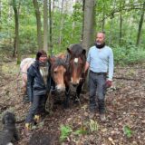 Ein Mann und eine Frau stehen an einem Hang im Wald. Zwischen ihnen stehen zwei Pferde. Vor ihnen hockt ein Pudel.