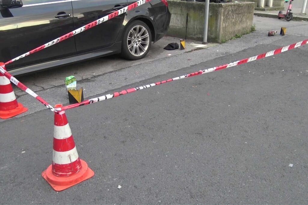 News 4 Video-Line / Fernandez