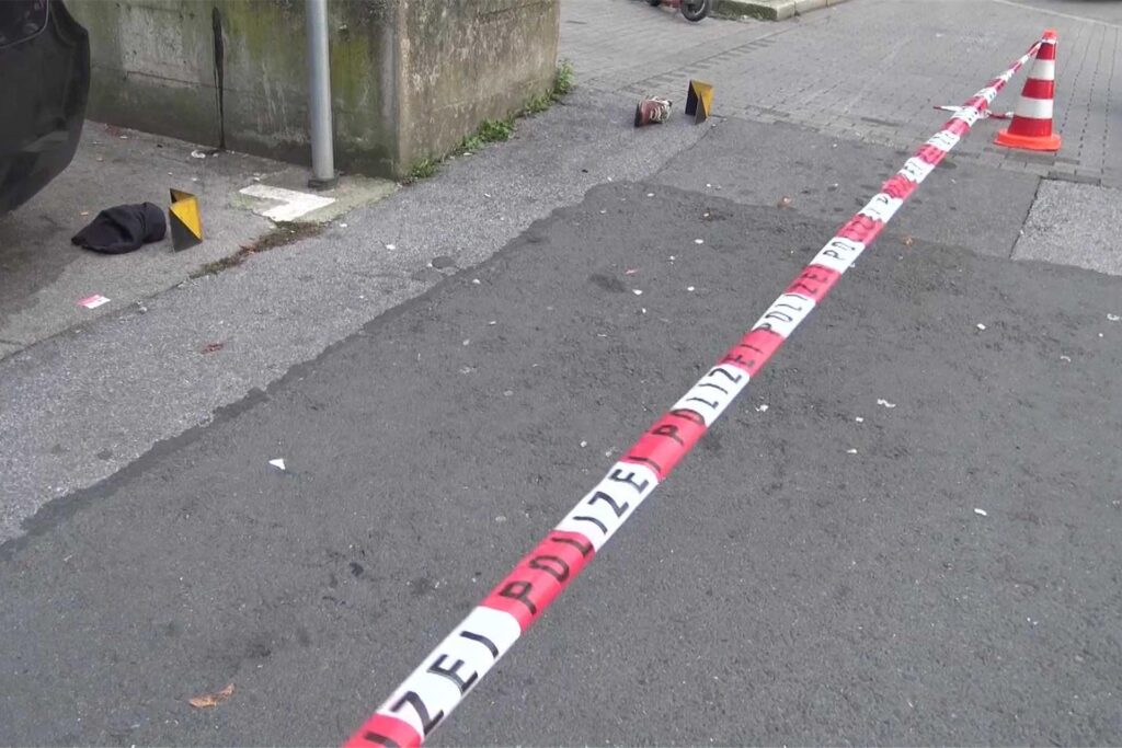 News 4 Video-Line / Fernandez