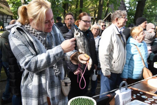 Auf dem Arm einer Besucherin der Hertener Erntedankfestes sitzt eine Eule, die von der Frau gestreichelt wird.