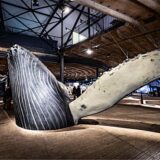 Die „Planet Ozean“-Ausstellung im Gasometer Oberhausen.