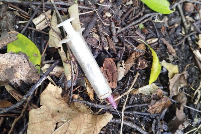 Eine Spritze liegt auf einem Waldboden in Dorsten.