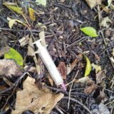 Eine Spritze liegt auf einem Waldboden in Dorsten.