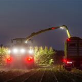 Mit der Maisernte sind die Landwirte in Haltern besonders zufrieden.