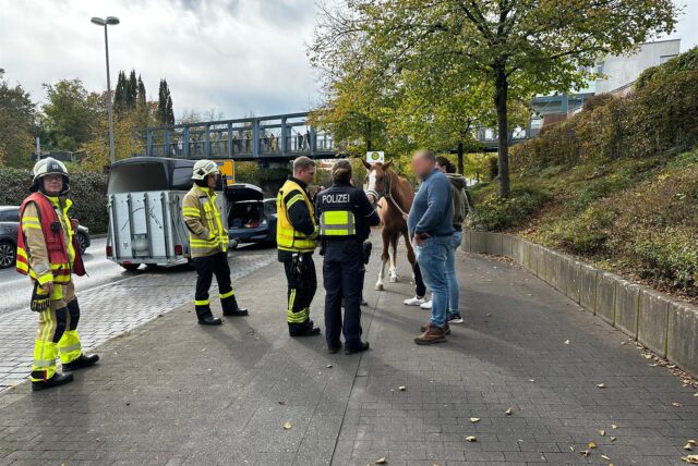 Vier Feuerwehrleute, eine Polizistin sowie ein Pferd und zwei weitere Personen stehen auf dem Bürgersteig am Willy-Brandt-Ring in Dorsten.