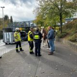Vier Feuerwehrleute, eine Polizistin sowie ein Pferd und zwei weitere Personen stehen auf dem Bürgersteig am Willy-Brandt-Ring in Dorsten.