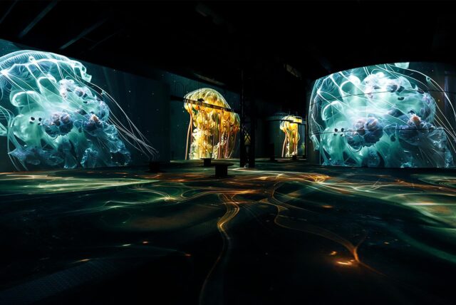 Blick in die Sonderausstellung „Wunderwelt Ozean“ bei Phoenix des Lumières in Dortmund.